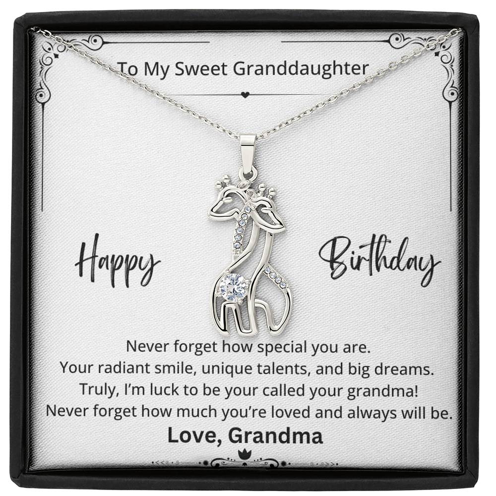 stainless steel necklace with birthday wishes from grandma to granddaughter in a  jewelry box